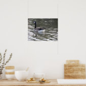 Kanada Goose auf der Wasserdruckmaschine Poster (Küche)