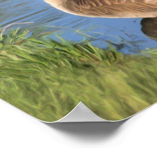 Kanada Goose Confucius Knowledge Quote Poster (Ecke)