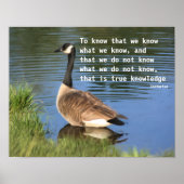 Kanada Goose Confucius Knowledge Quote Poster (Vorne)