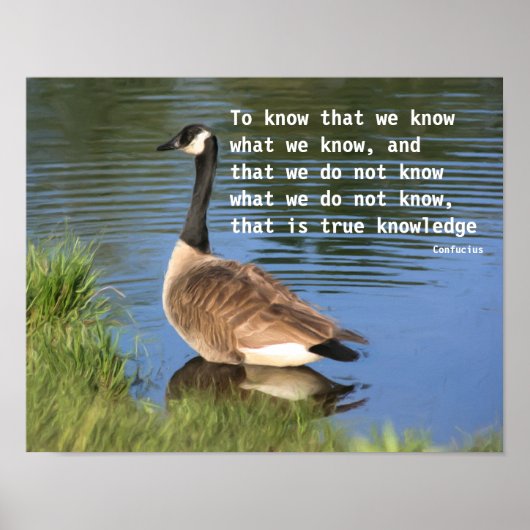 Kanada Goose Confucius Knowledge Quote Poster (Vorne)