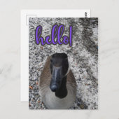 Kanada Goose Hallo Postkarte (Vorne/Hinten)