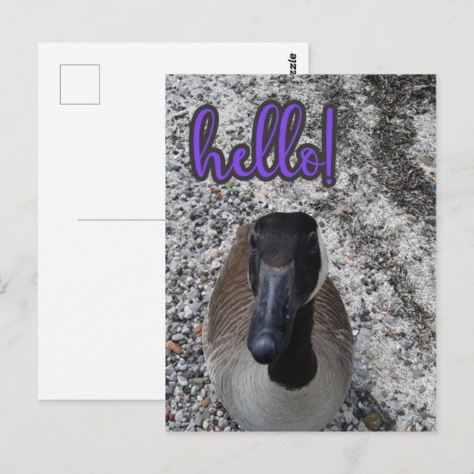 Kanada Goose Hallo Postkarte (Vorne/Hinten)