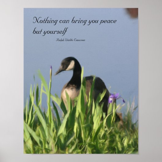 Kanada Goose Inner Peace Inspiration Poster (Vorne)