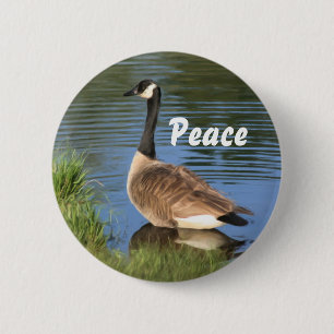 Kanada Goose Peace Inspiration Button