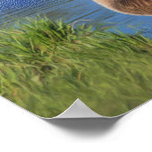 Kanada Goose Schönheit der Natur Inspiration Poster (Ecke)
