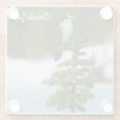 Kanada Jay Glasuntersetzer (Rückseite)