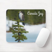Kanada Jay Mousepad (Mit Mouse)