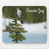 Kanada Jay Mousepad (Vorne)