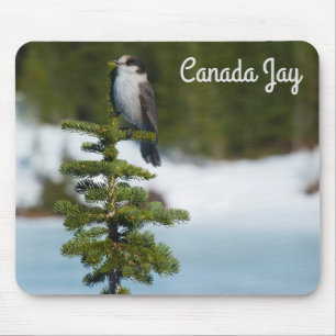Kanada Jay Mousepad