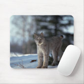 Kanada-Luchs auf Schnee Mousepad (Mit Mouse)