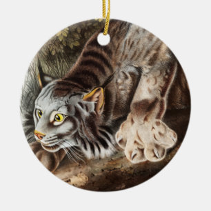 Kanada-Luchs (Lynx Canadensis) Illustration Keramik Ornament