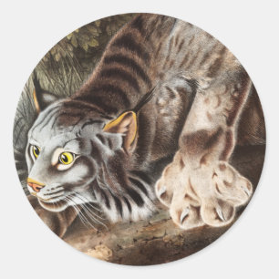 Kanada-Luchs (Lynx Canadensis) Illustration Runder Aufkleber
