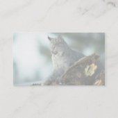Kanada-Luchs Visitenkarte (Rückseite)