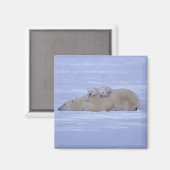 Kanada Magnet (Vorderseite/Rückseite)