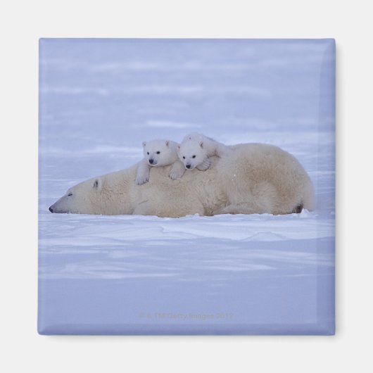 Kanada Magnet (Vorne)