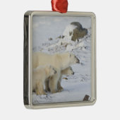 Kanada, Manitoba, Churchill. 4 Silbernes Ornament (Rechts)