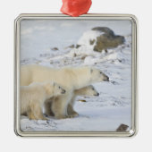 Kanada, Manitoba, Churchill. 4 Silbernes Ornament (Vorne)