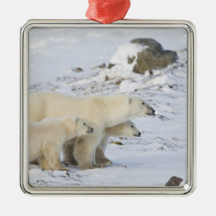 Kanada, Manitoba, Churchill. 4 Silbernes Ornament