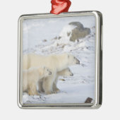 Kanada, Manitoba, Churchill. 4 Silbernes Ornament (Links)