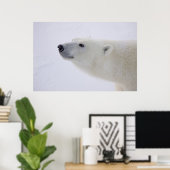 Kanada, Manitoba, Churchill. 7 Poster (Heimbüro)