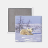 Kanada, Manitoba, Churchill. 9 Magnet (Vorderseite/Rückseite)