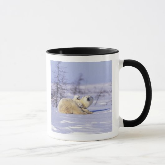Kanada, Manitoba, Churchill. 9 Tasse (Rechts)