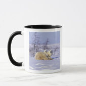 Kanada, Manitoba, Churchill. 9 Tasse (Links)
