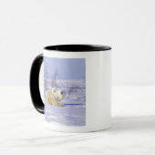 Kanada, Manitoba, Churchill. 9 Tasse (Vorderseite Links)