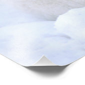 Kanada, Manitoba, Churchill. Arktische Fox Fotodruck (Ecke)