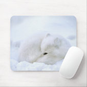 Kanada, Manitoba, Churchill. Arktische Fox Mousepad (Mit Mouse)