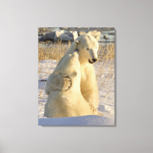 Kanada, Manitoba, Hudson Bay, Churchill. Leinwanddruck