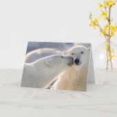 Kanada, Manitoba, Hudson Bay, Churchill. Polar Karte (Gelbe Blume)