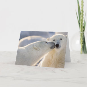 Kanada, Manitoba, Hudson Bay, Churchill. Polar Karte