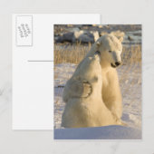 Kanada, Manitoba, Hudson Bay, Churchill. Postkarte (Vorne/Hinten)