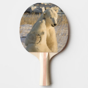 Kanada, Manitoba, Hudson Bay, Churchill. Tischtennis Schläger