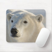 Kanada, Manitoba, Hudson Bay | Polar Bear Mousepad (Mit Mouse)