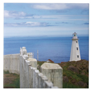 Kanada, Neufundland, Cape Spear National 3 Fliese