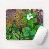 Kanada, New Brunswick, , 2 Mousepad (Mit Mouse)