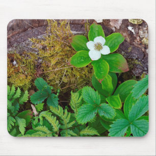 Kanada, New Brunswick, ,  2 Mousepad