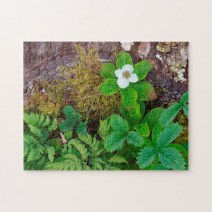 Kanada, New Brunswick, , 2 Puzzle