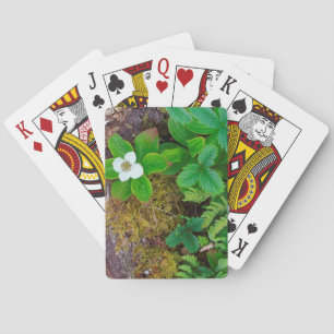 Kanada, New Brunswick, ,  2 Spielkarten