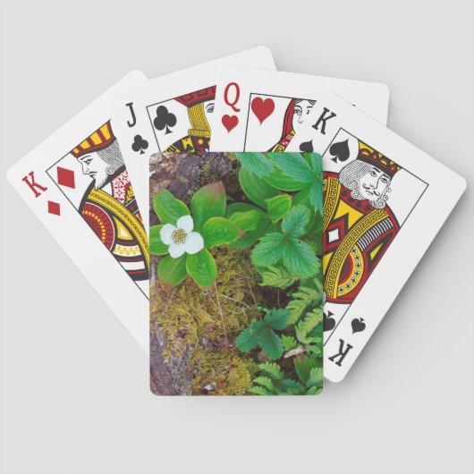 Kanada, New Brunswick, , 2 Spielkarten (Rückseite)