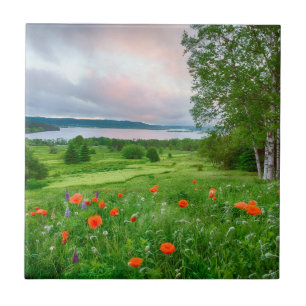Kanada, New Brunswick, ,  3 Fliese