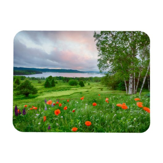 Kanada, New Brunswick, , 3 Magnet (Horizontal)