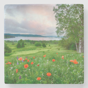 Kanada, New Brunswick, , 3 Steinuntersetzer