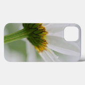 Kanada, New Brunswick, Case-Mate iPhone Hülle (Rückseite (Horizontal))