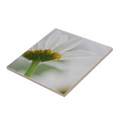 Kanada, New Brunswick, Fliese (Seite)