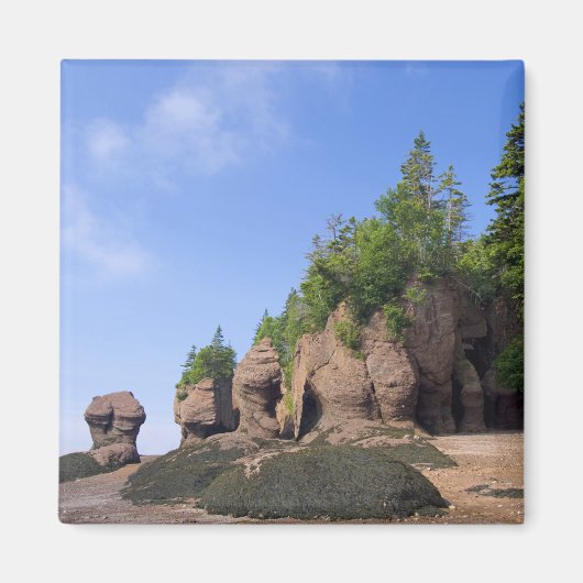 Kanada, New Brunswick, Hopewell Cape, Bay of Magnet (Vorne)