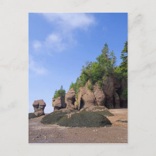 Kanada, New Brunswick, Hopewell Cape, Bay of Postkarte