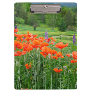 Kanada, New Brunswick, . Landschaft Klemmbrett